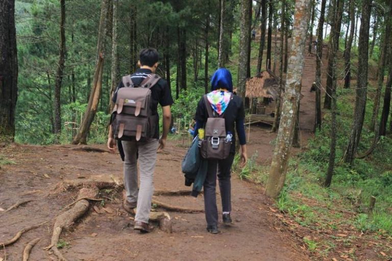 Aktivitas Wisatawan Gunung Halimun Salak Tetap Dibuka
