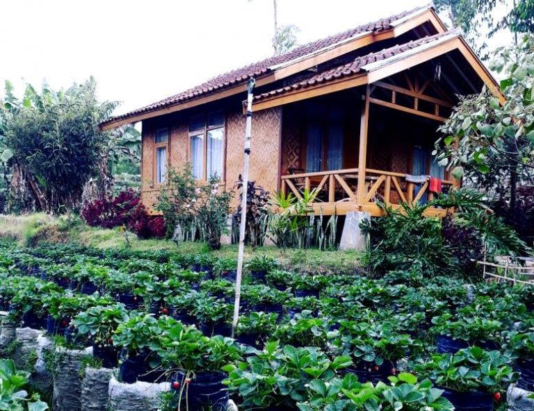 George Washington University Lakukan Penelitian Homestay Di Bandung