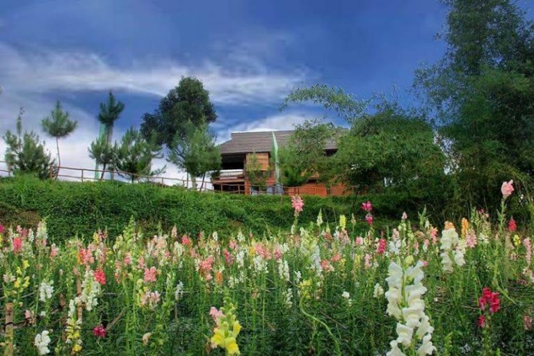Saatnya Berada Di Kebun Bunga Sari Ater