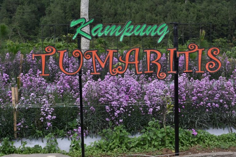 Kampung Tumaritis Sari Ater Viral Dan Jadi Favorit Wisatawan