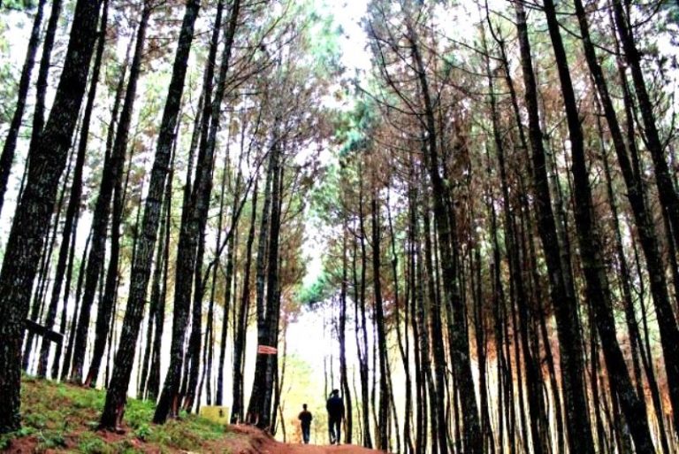 Kedamaian “Negeri di Awan” Bukit Bintang