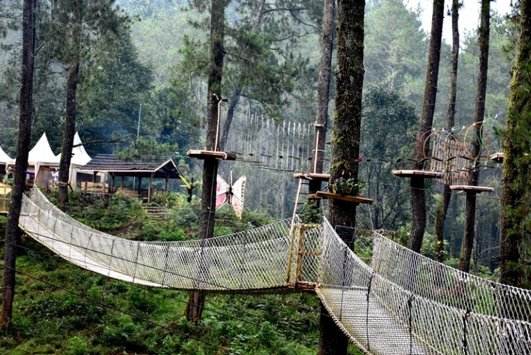 Hutan Cikole Viral Karena Kemolekannya