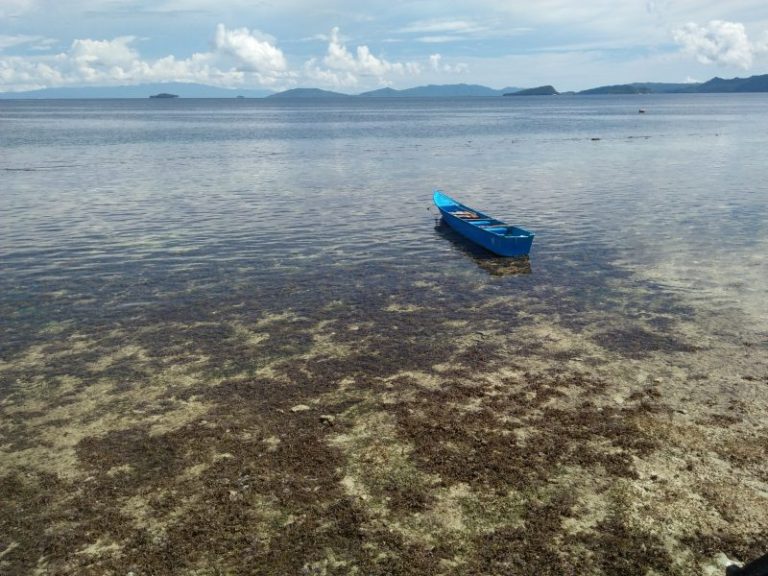 SENJA DI KAMPUNG SAPORKREN-RAJA AMPAT