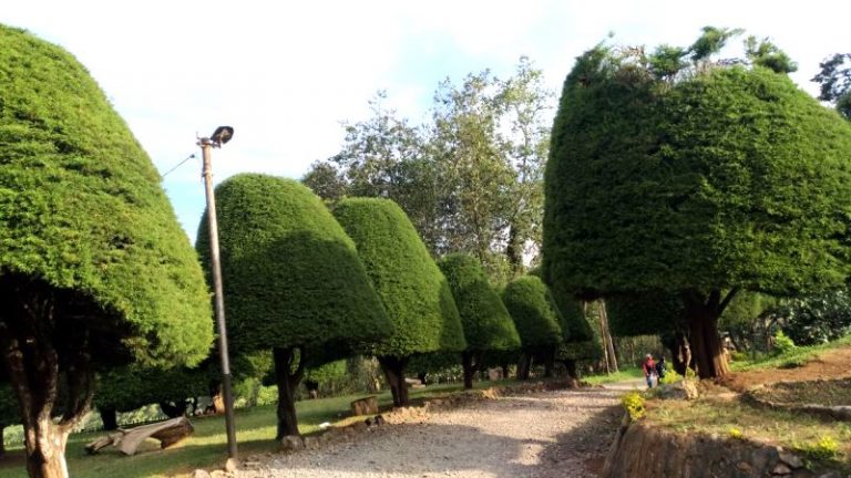 Keunikan Alam Destinasi Wisata Bukit Jamur Rancabolang