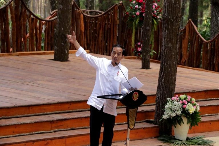 Instagramble, Presiden Minta Hutan Pinus Dikembangkan