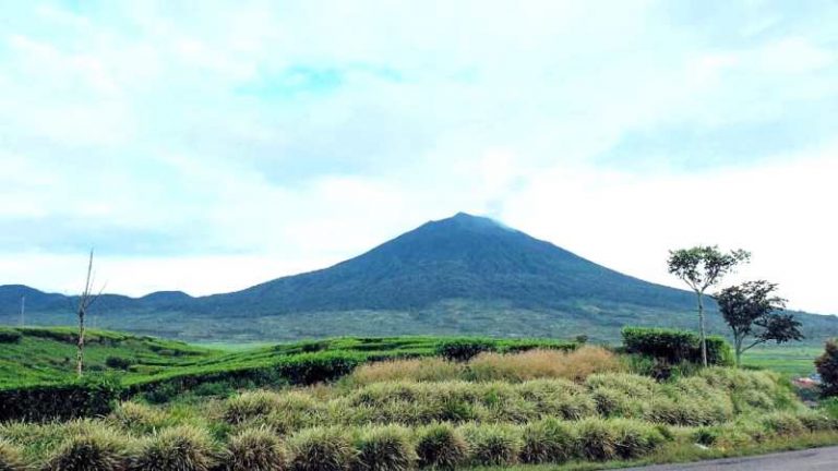 Datang Ke Jambi Yuuk..Ada Festival 1000 Kopi Kerinci