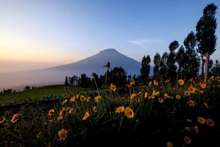 Buruan, Ada Tiket Pesawat Jakarta-Surabaya Cuma Rp 200 Rebu