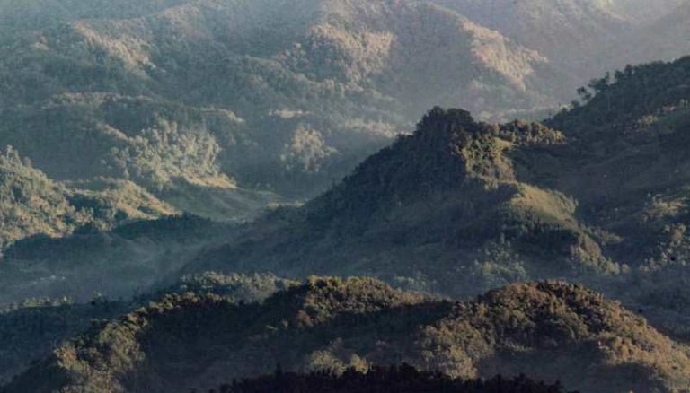 Menjadikan Gede Pangrango “Mountain Dunia” Perlu Sinergitas Yang Kuat