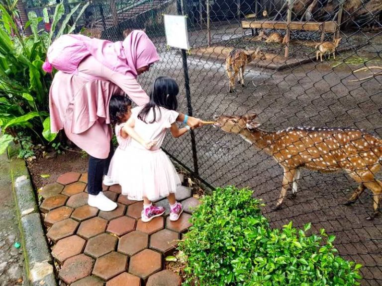 Pengunjung Bandung Zoo Mendekati 30 Ribu Orang