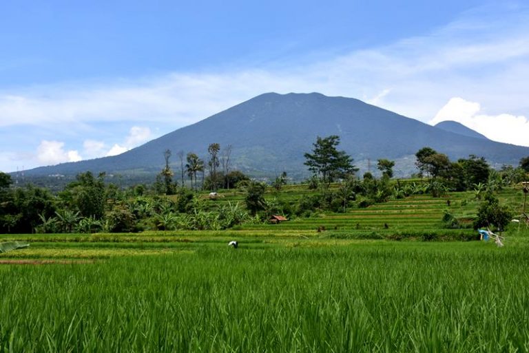 Begini Cara Kemenpar Mencapai Target 20 Juta Wisatawan