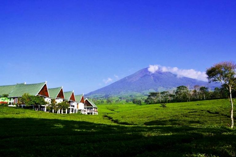 Villa Pagaralam Full Booking Untuk Akhir Tahun