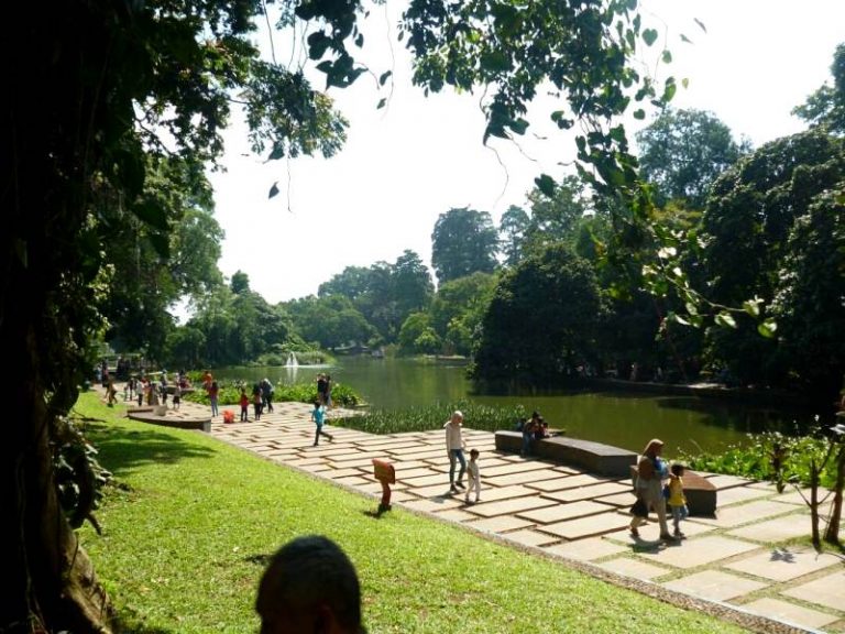 Hari Pertama 2019 Kebun Raya Bogor Dikunjungi 10 Ribu Orang