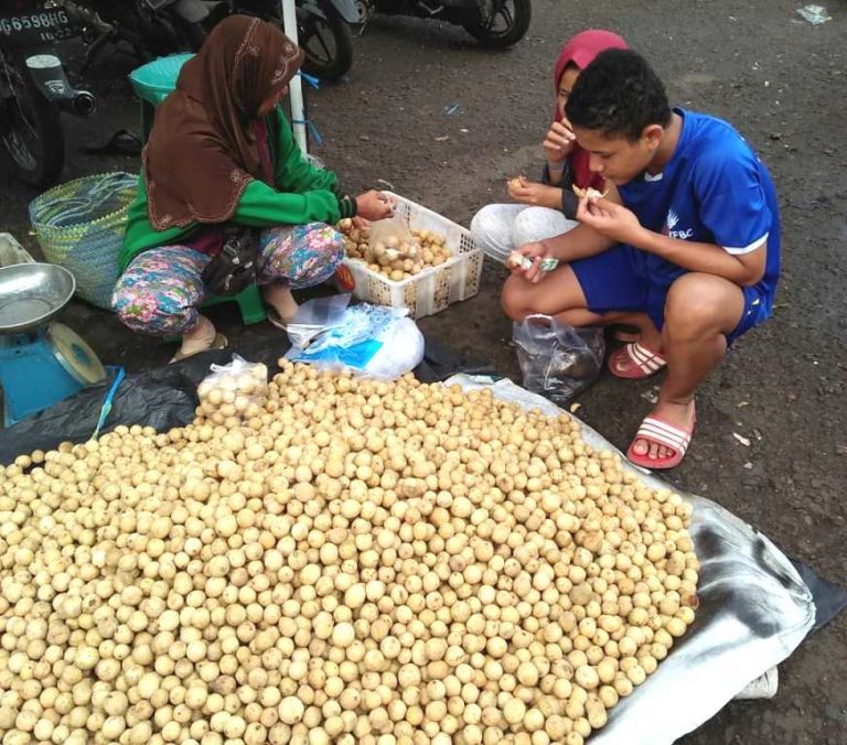 Saat Musim Duku Tiba, Rp 15 Ribu Makan Sepuasnya