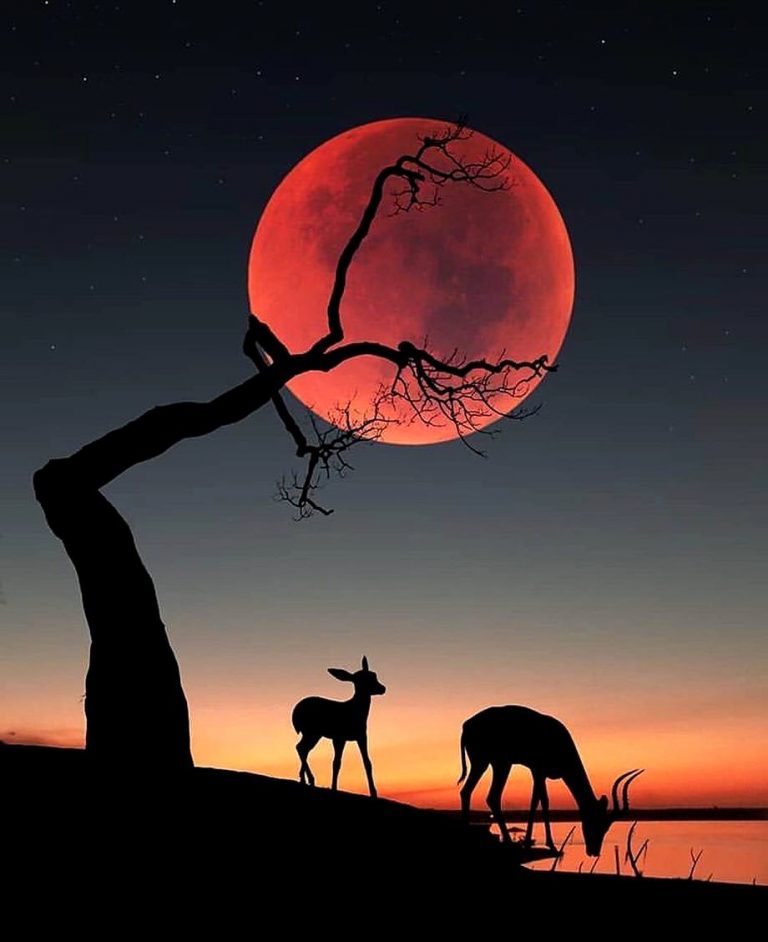 Catat, Ini Wisata Blood Moon Tahun 2019