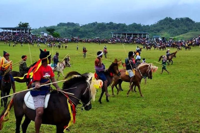 Ratusan Kuda Meriahkan Festival Pasola