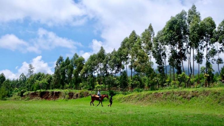 Wisata Kuda Kota Batu Malang Yang Kian Digemari