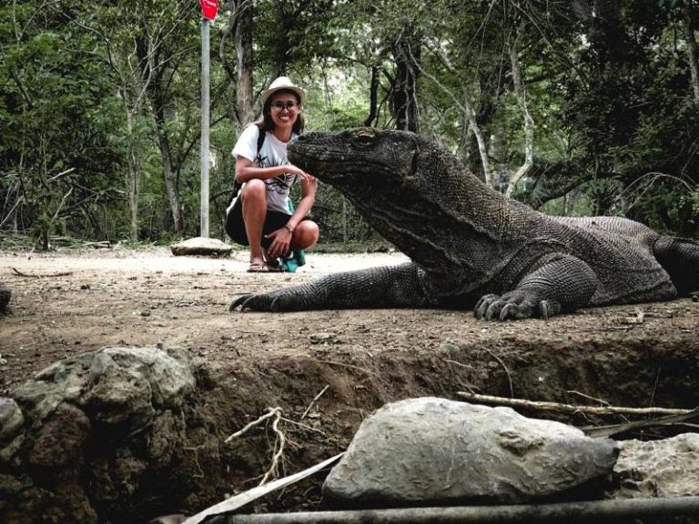 Dari Kunjungan Turis,TN Komodo Kantongi Rp33,16 Miliar