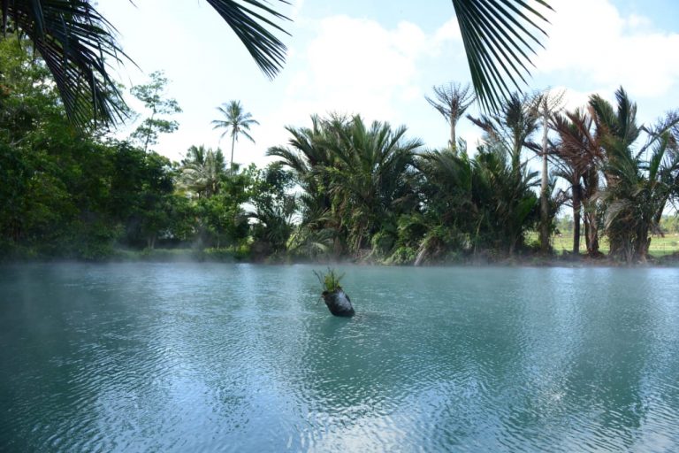 Minahasa Kembangkan Pasar Hutan Ranolewo sebagai Daya Tarik Baru Pariwisata