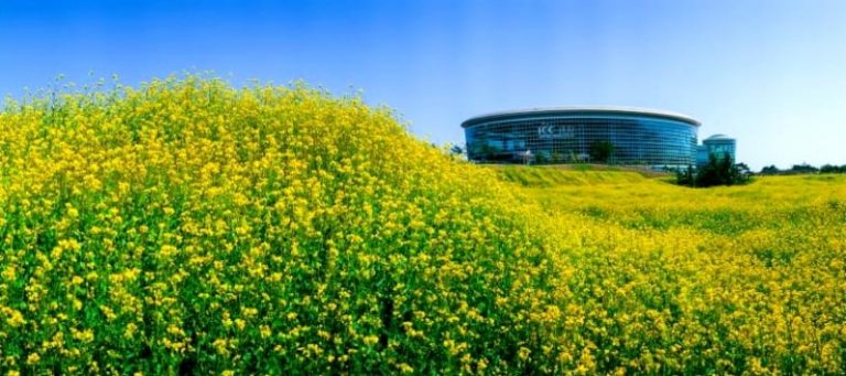 Wisatawan MICE Indonesia Di Korea Meningkat Tajam