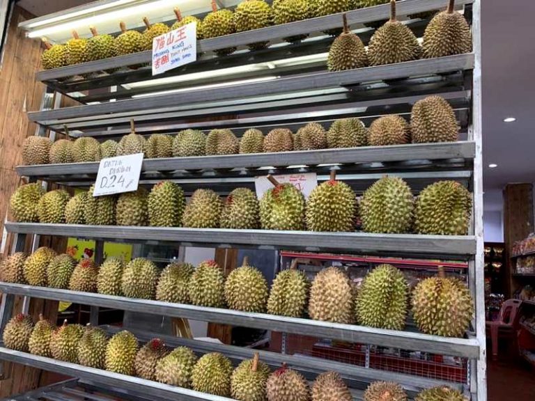 Ke Kota Batam Jangan Lupa Mampir Ke Istana Durian Datuk