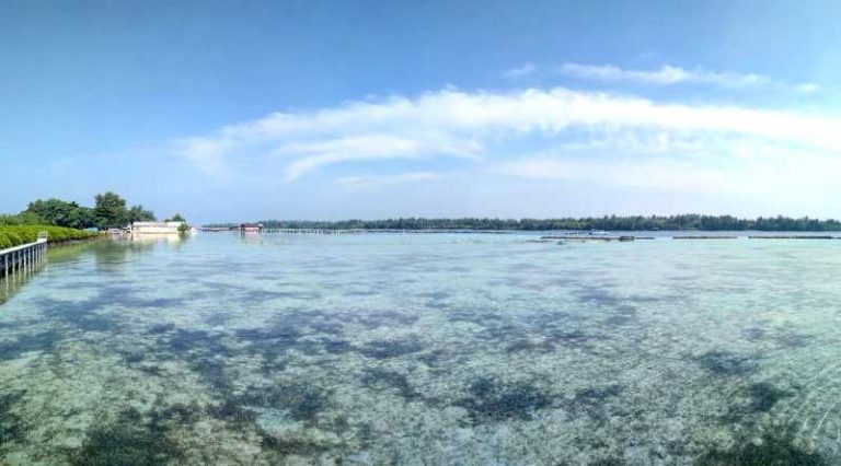Wisata Ke Pulau Kelapa Dua Bisa Bermain Dengan Penyu