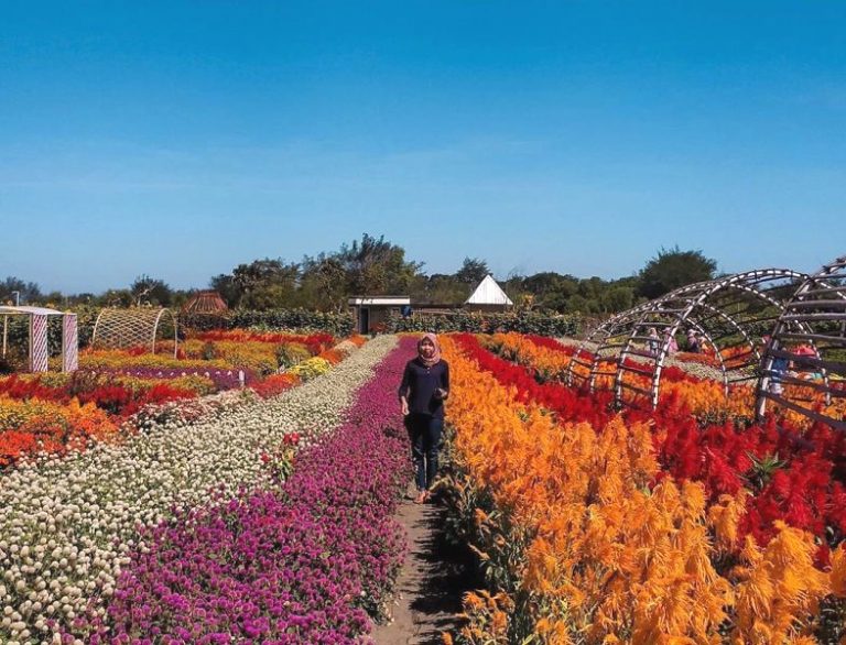 Woww,Romantic Garden Aslinya Romantis Pisan