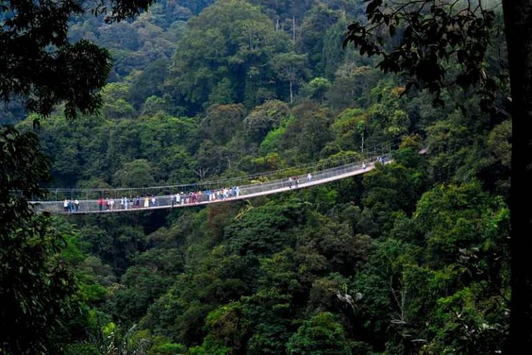 Pengunjung Membludak Waktu Buka Jembatan Situ Gunung Diperpanjang