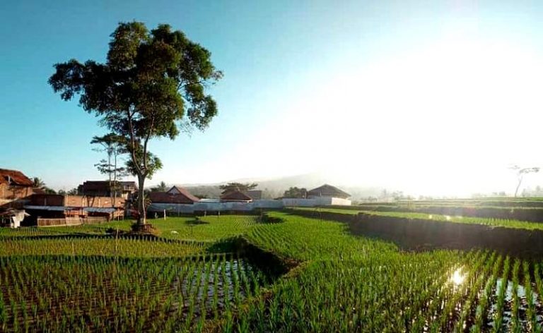 Pemda Garut Bagikan 3000 Selimut,Suhu Cuaca Mendekati 1 Derajat Celsius