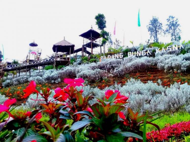 Padang Bunga Kasna Destinasi Lain Di Pulau Dewata