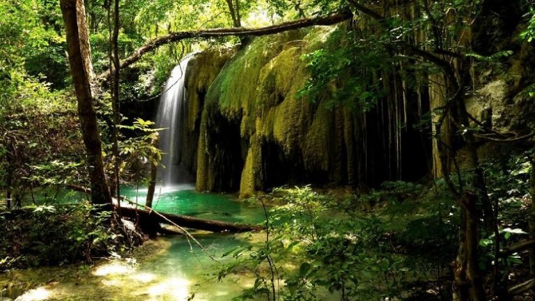 Pulau Samota, Salah Satu Cagar Biosfer Dunia yang Ada di Indonesia