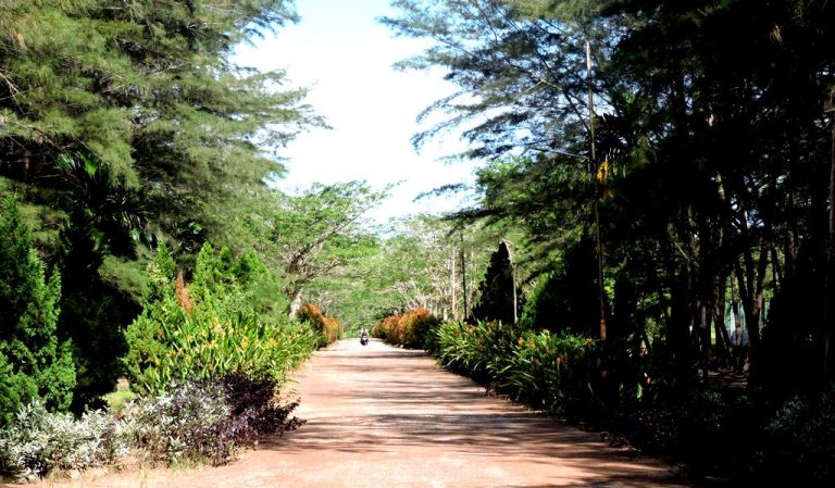 Menikmati Suasana Asri nan Sejuk di Bangka Botanical Garden