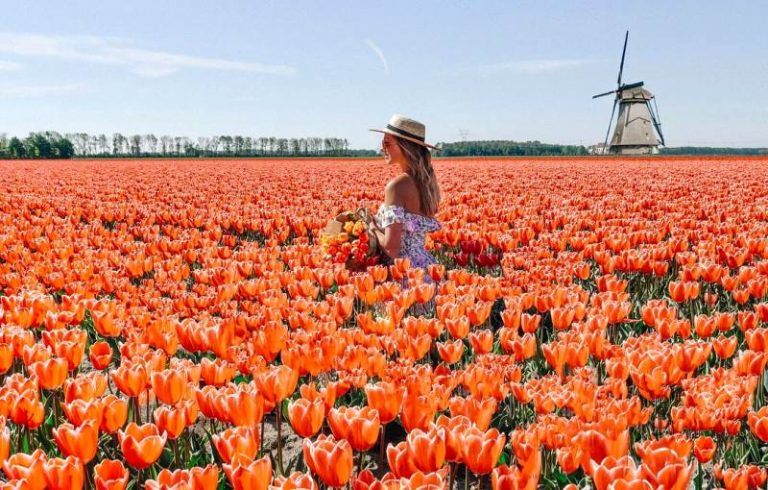 Ada 1 Juta Lebih Ulasan Palsu di TripAdvisor