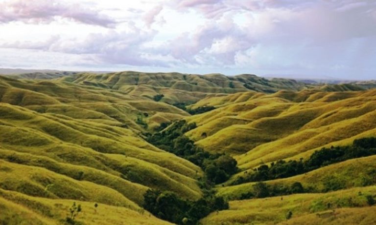 Bukit Wairinding, Gelombang Keindahan dari Sumba Timur