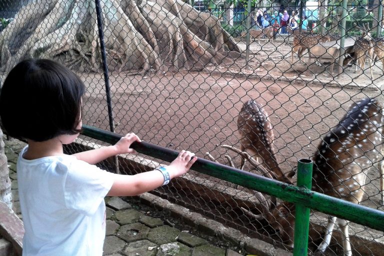 Yuk Ajak Anak Bermain Sambil Belajar di Destinasi ini!