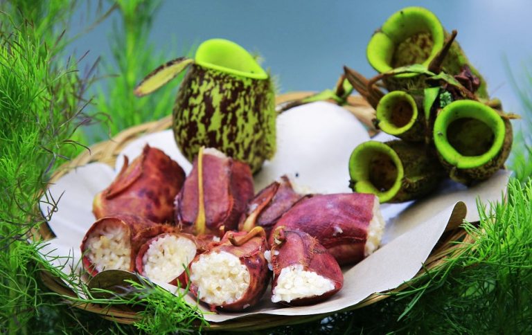 Lemang Kantong Semar, Kuliner Langka Asal Jambi
