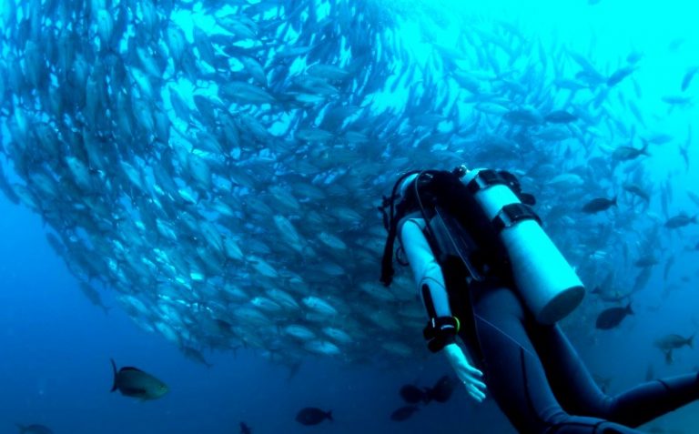 Mengenal Sekolah Selam di Ujung Timur Indonesia