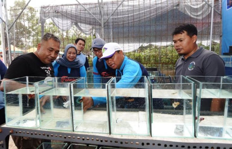 Wagub Uu Dorong Sukabumi jadi Destinasi Wisata Ikan Hias