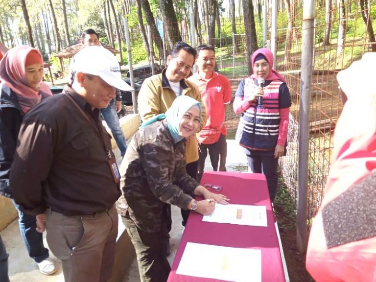 Ada Rusa “Candy” di Green Grass Cikole Lho…