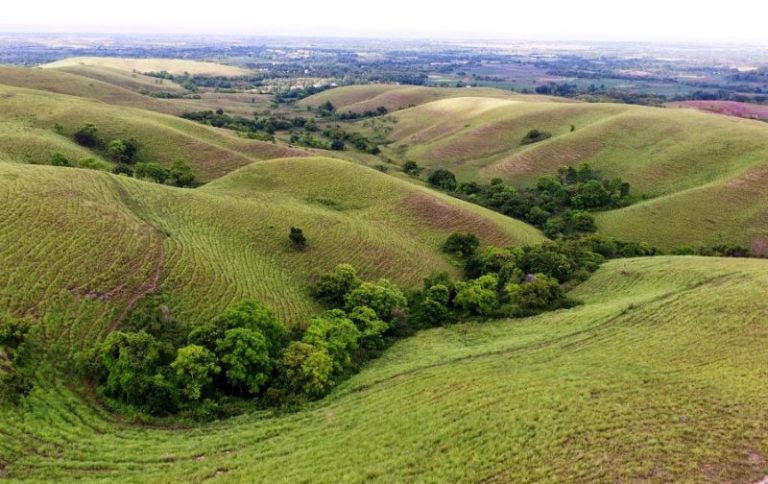 Menikmati Keindahan Hamparan Luas Savana di Bukit Ledongara