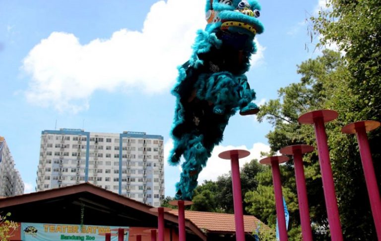 Meriahkan Libur Imlek, Bandung Zoo Hadirkan Atraksi Barongsai