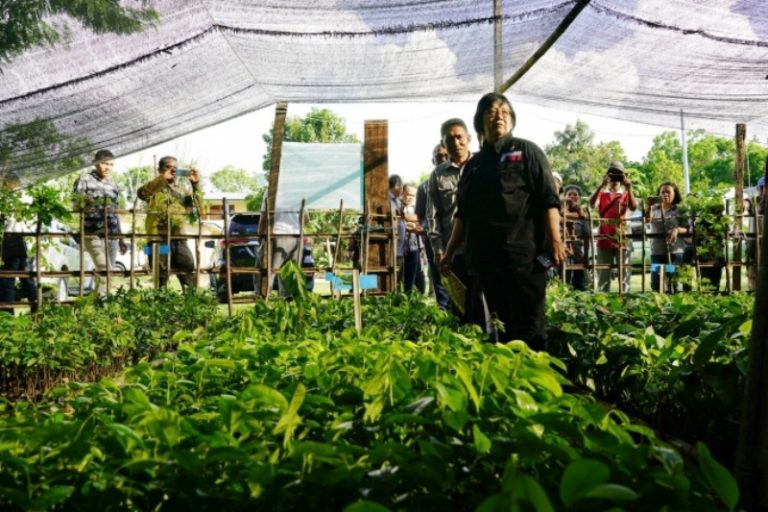 Dukung Wisata Labuan Bajo, KLHK Kembangkan Kebun Bibit Desa Modern