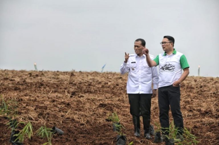 Gubernur Ridwan Kamil Minta Agro Jabar Proaktif Cari Lahan