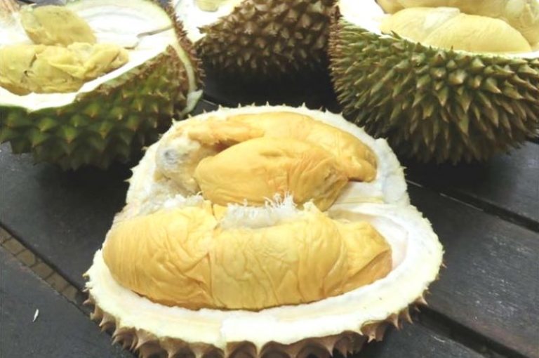 Festival Durian Sukabumi Kembali Digelar, Pengunjung Membludak