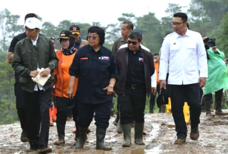 Jokowi Pilih Tanam Vetiver Karena Punya Akar Kuat