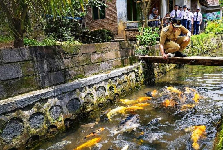 Desa Kluncing, Sulap Sungai Kotor jadi Destinasi Kampung Ikan