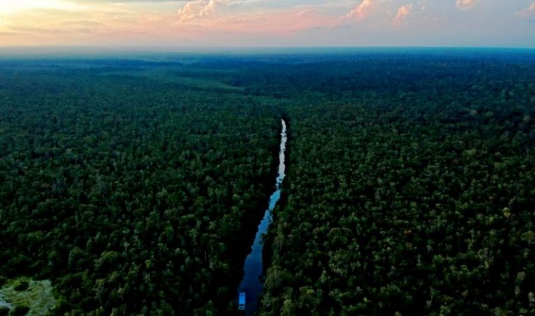 Sensasi Wisata Susur Sungai Kumai Sepanjang 176 Kilometer