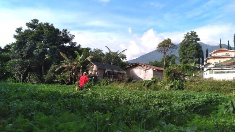 Kementan Perkuat Produksi Pertanian Ditengah Pandemi Corona