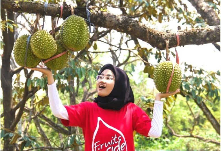 Taman Buah Mekarsari Masih Melayani Pembelian Buah dan Bibit