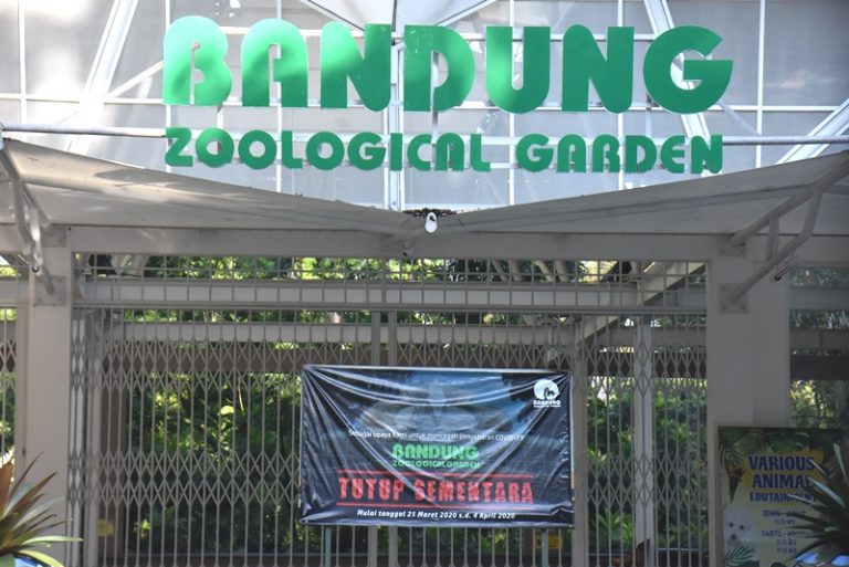 Ketua MPR Bamsoet Beri 1.000 Ekor Ayam Untuk Pakan Satwa Bonbin Bandung