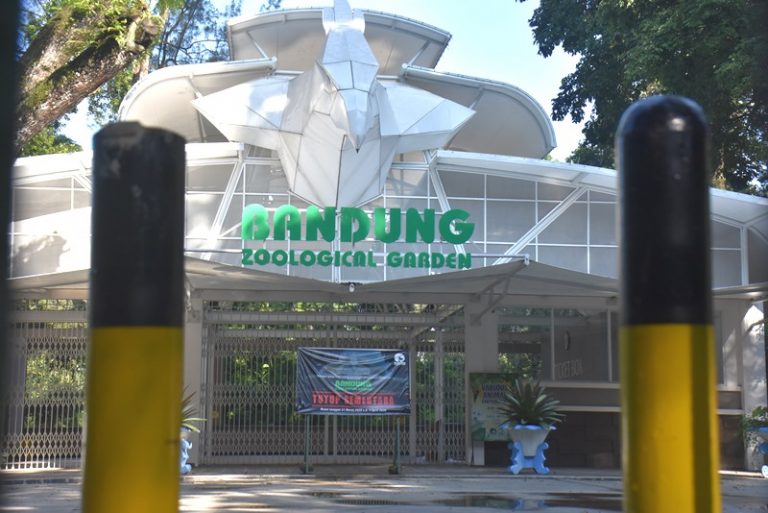 Wali Kota Bandung Janji Bantu Kebun Binatang,Jangan Sampai Potong Rusa